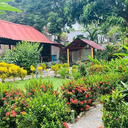 Wayanay Tayrona Eco Hostel الزينو المظهر الخارجي الصورة