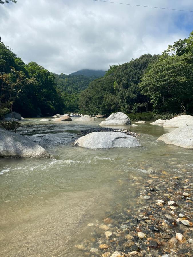Wayanay Tayrona Eco Hostel الزينو المظهر الخارجي الصورة