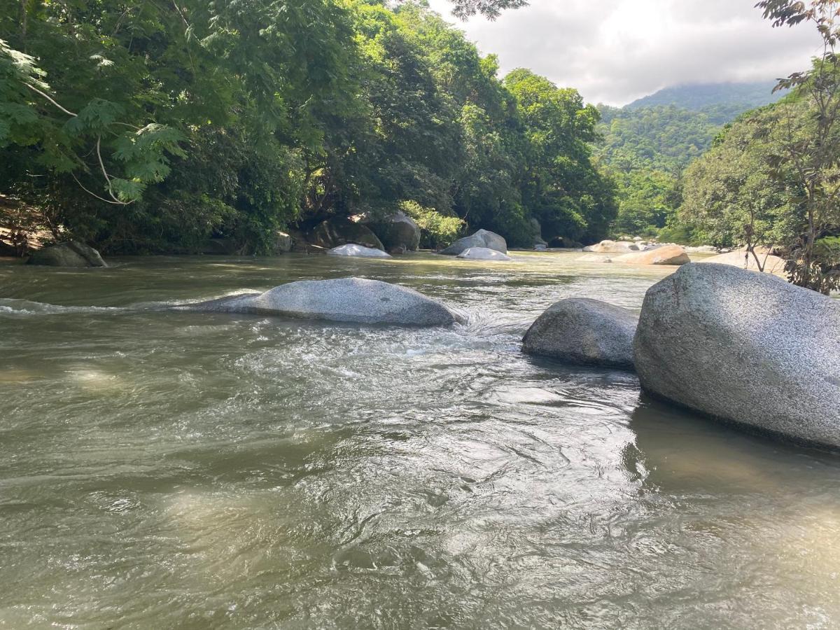 Wayanay Tayrona Eco Hostel الزينو المظهر الخارجي الصورة