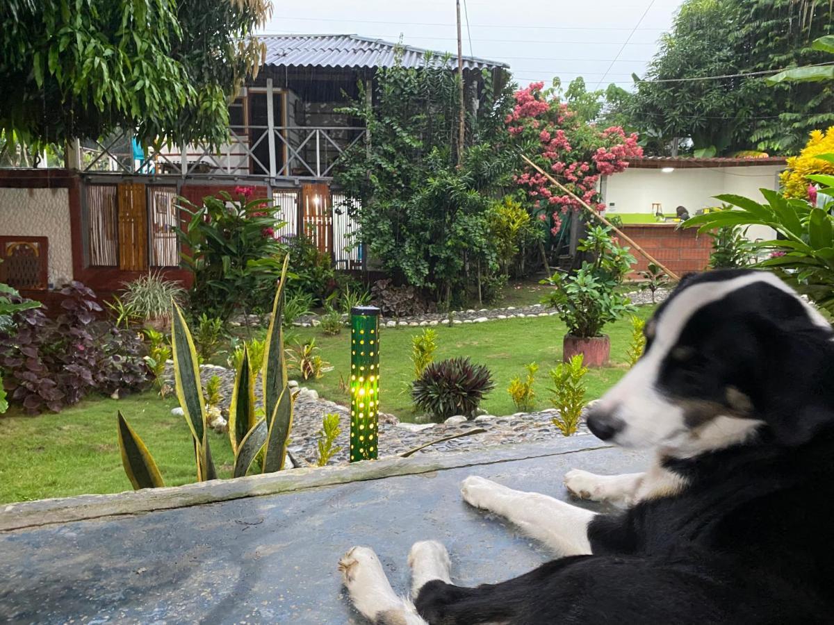 Wayanay Tayrona Eco Hostel الزينو المظهر الخارجي الصورة