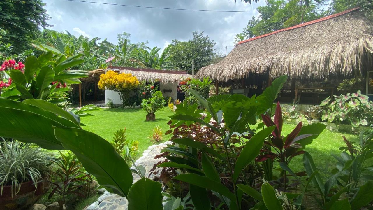 Wayanay Tayrona Eco Hostel الزينو المظهر الخارجي الصورة
