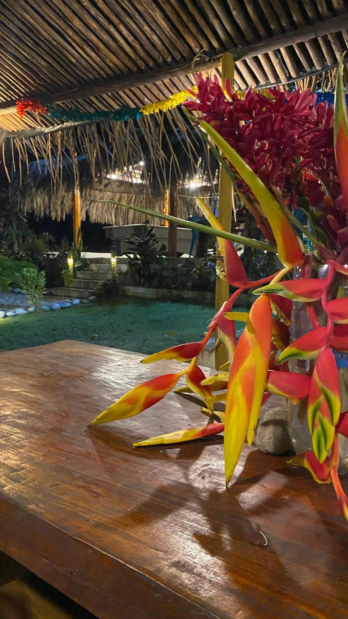 Wayanay Tayrona Eco Hostel الزينو المظهر الخارجي الصورة