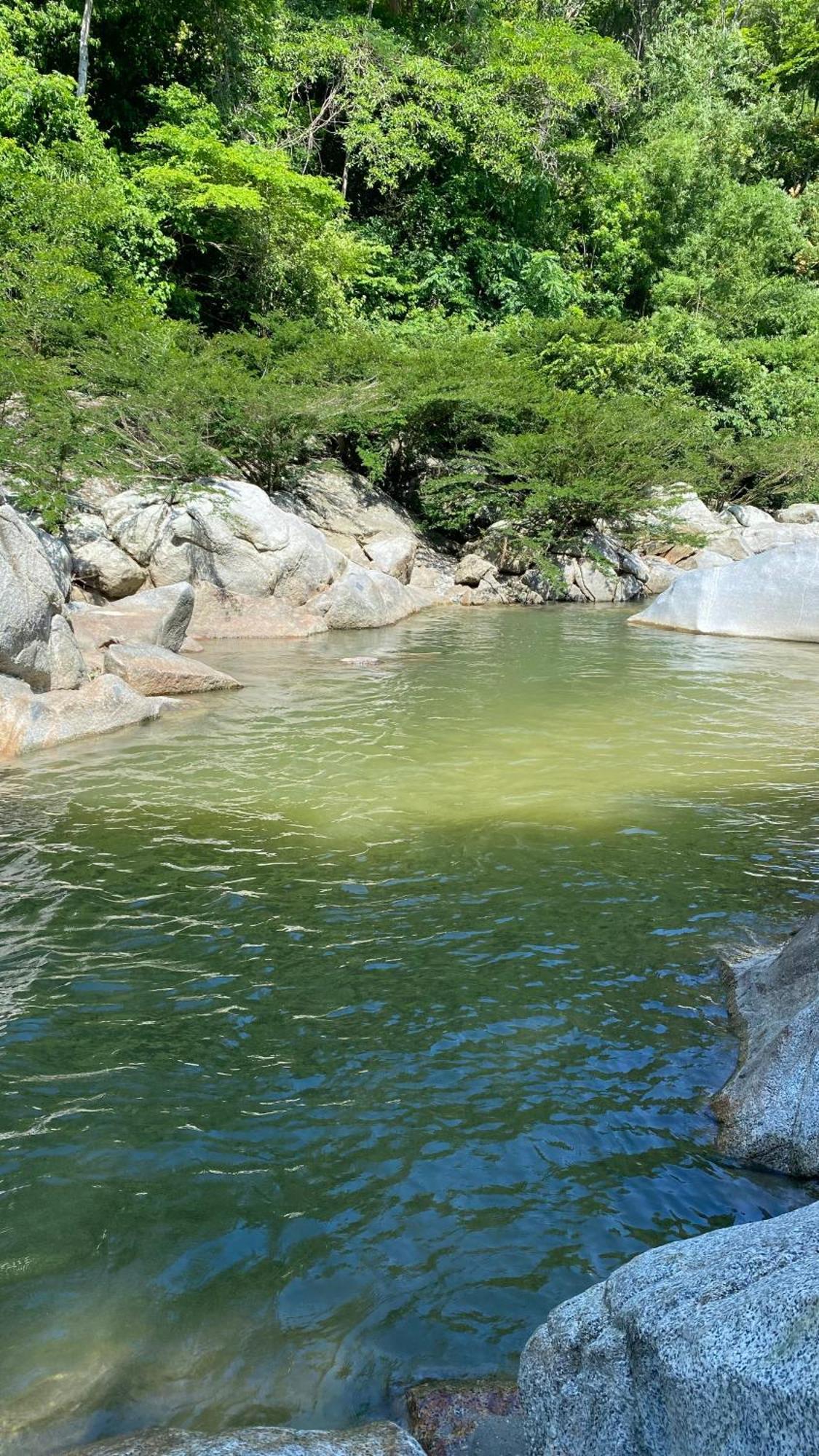 Wayanay Tayrona Eco Hostel الزينو المظهر الخارجي الصورة