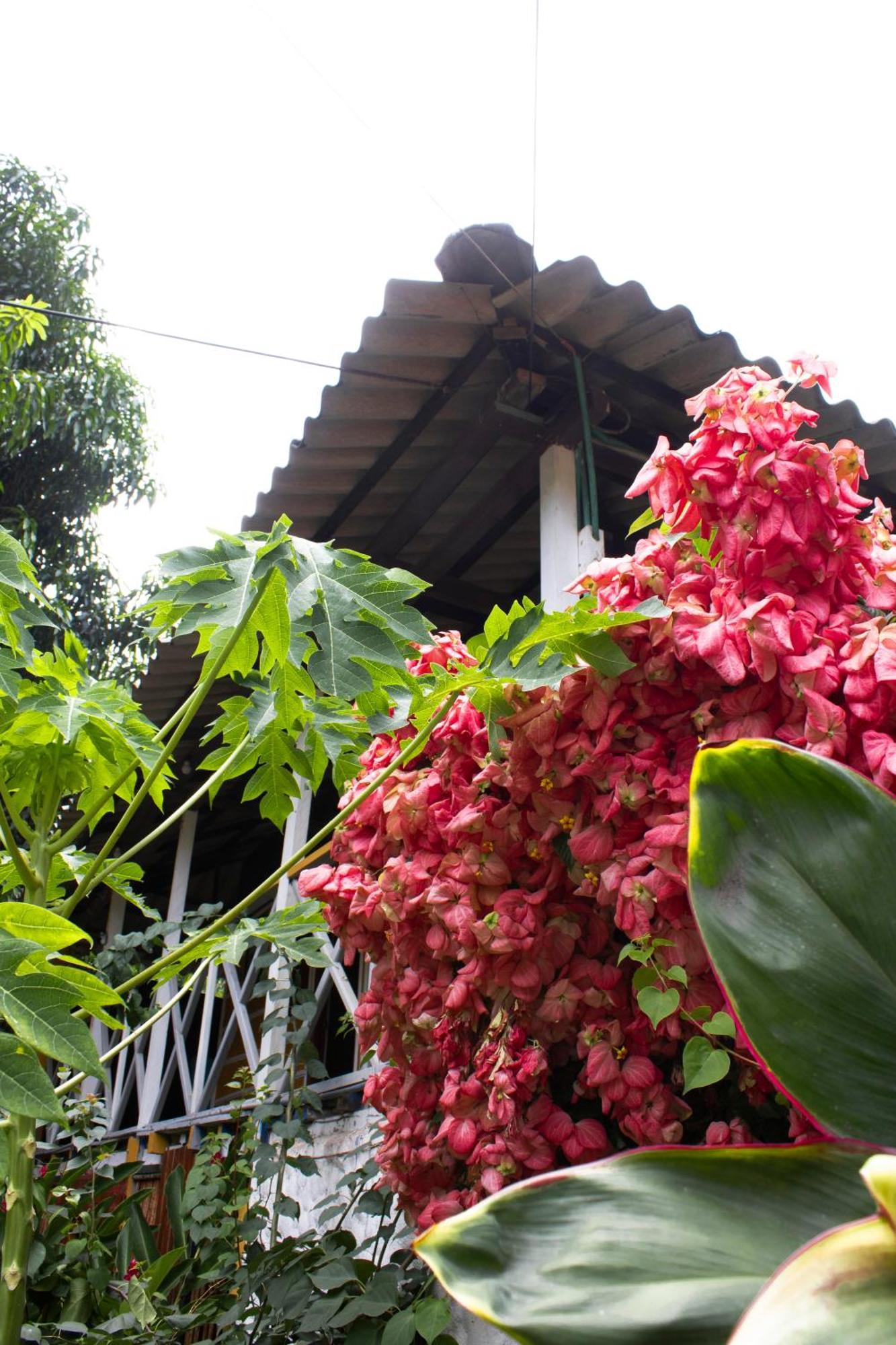 Wayanay Tayrona Eco Hostel الزينو المظهر الخارجي الصورة