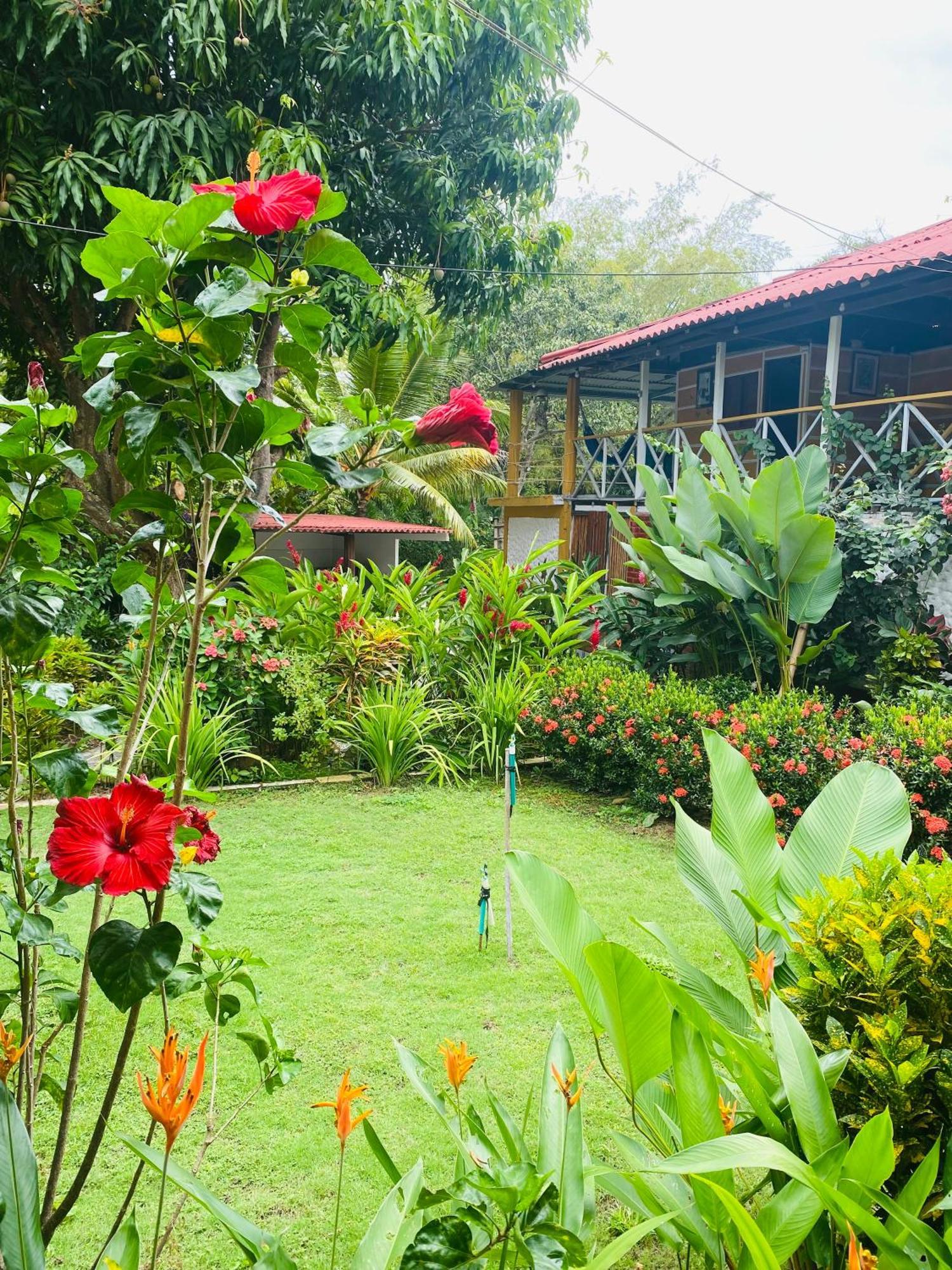 Wayanay Tayrona Eco Hostel الزينو المظهر الخارجي الصورة