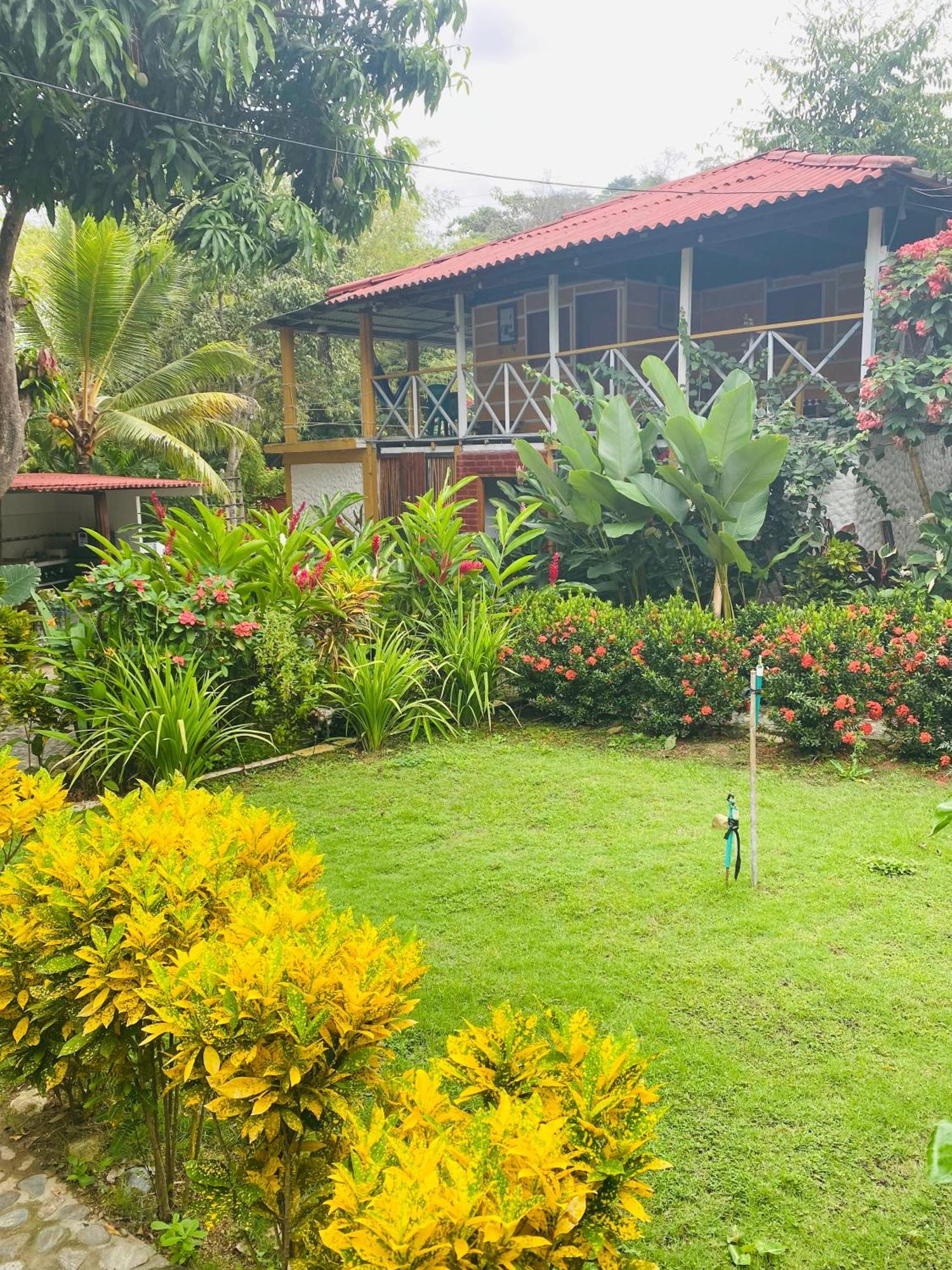 Wayanay Tayrona Eco Hostel الزينو المظهر الخارجي الصورة