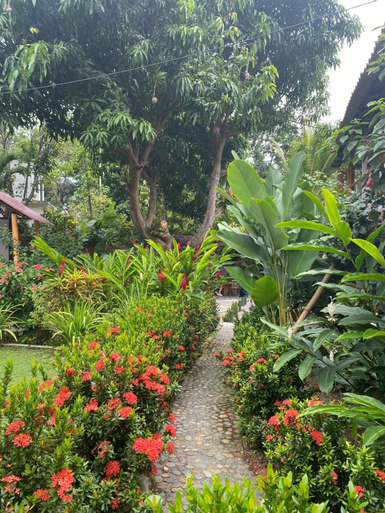 Wayanay Tayrona Eco Hostel الزينو المظهر الخارجي الصورة