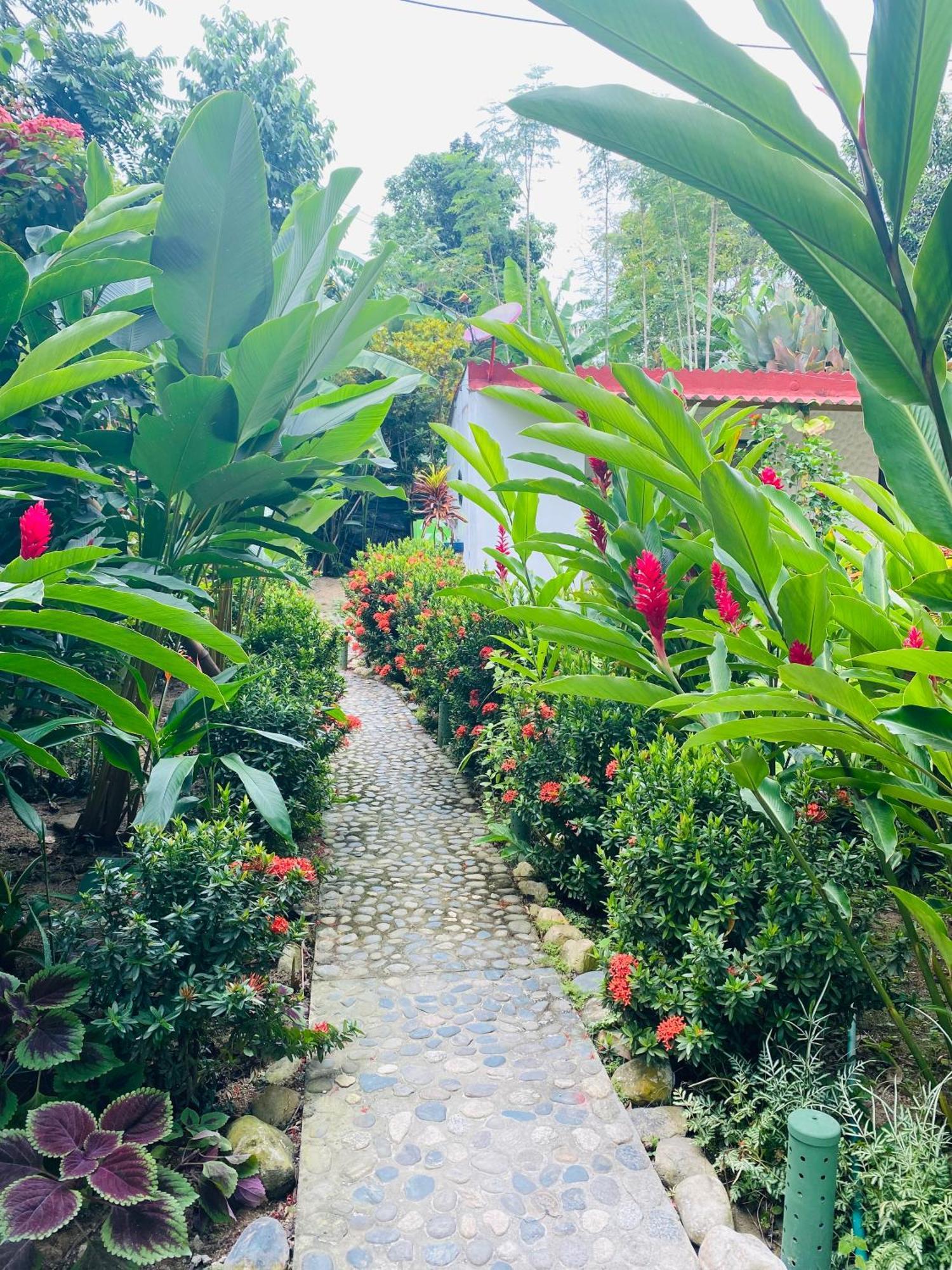Wayanay Tayrona Eco Hostel الزينو المظهر الخارجي الصورة