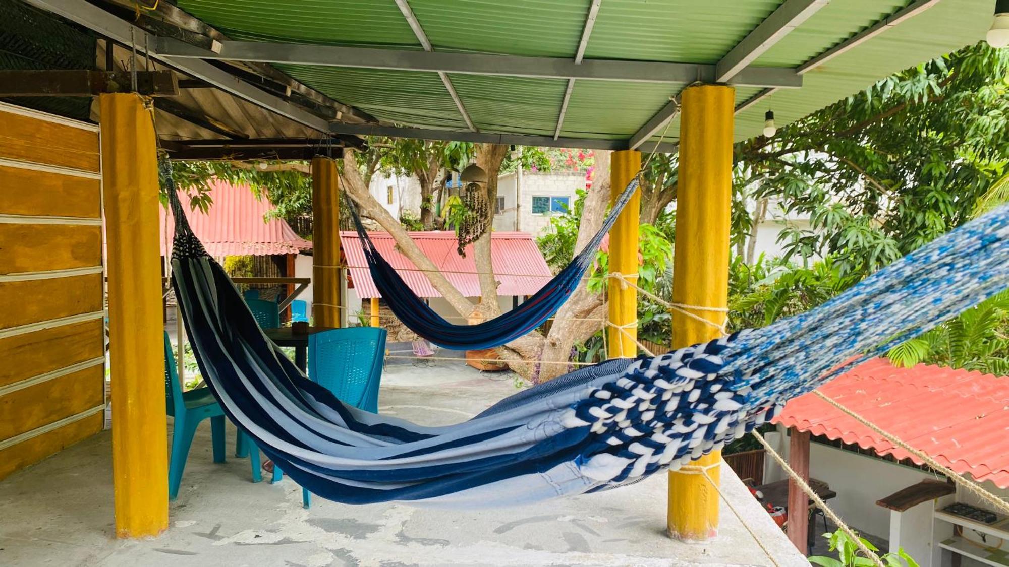 Wayanay Tayrona Eco Hostel الزينو المظهر الخارجي الصورة