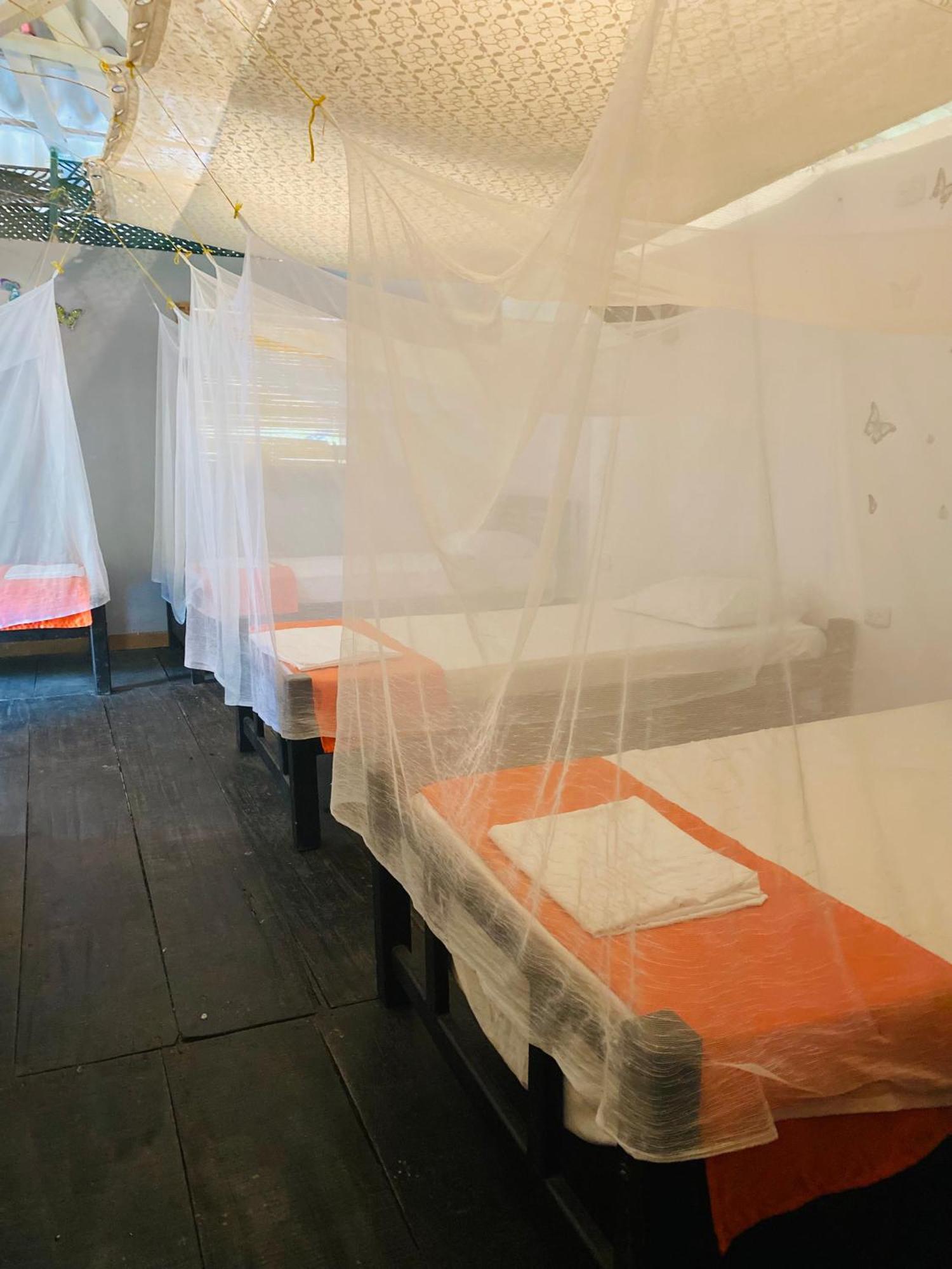 Wayanay Tayrona Eco Hostel الزينو المظهر الخارجي الصورة